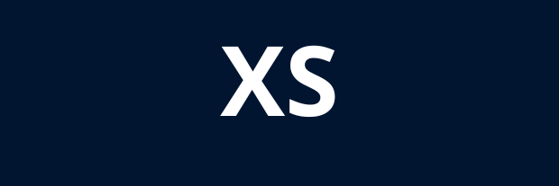  XS